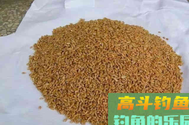 自从用这特效鲫鱼窝料，隔三差五就想钓，特过瘾
