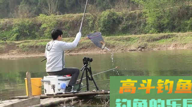 鱼突然停口了，别瞎想，就是不想吃了