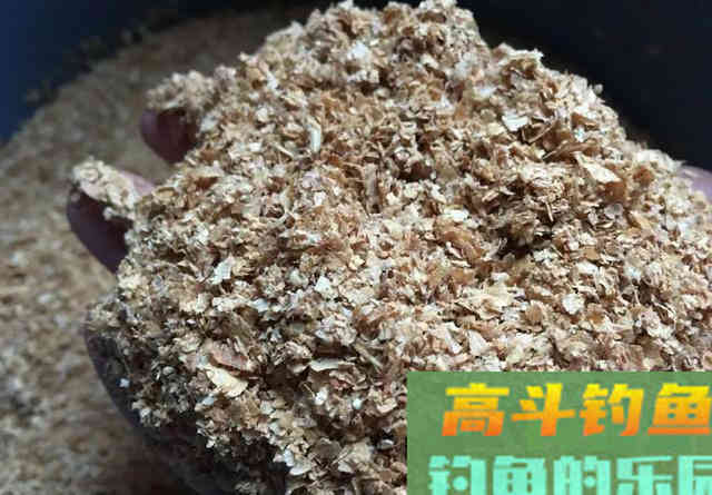 钓鱼不是喂鱼！春季钓大鱼打重窝会坏事