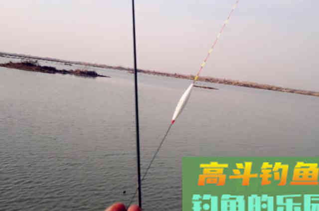 有鱼不吃饵那是你的不对，新钓手：你在教我做事