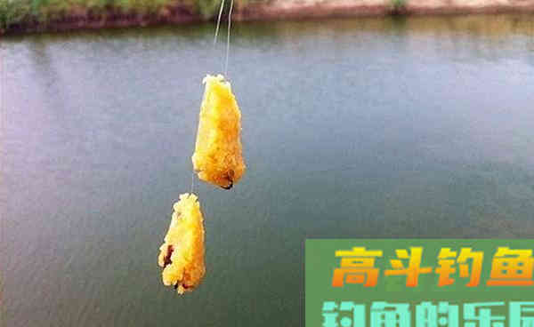 秋季钓鱼，用这些自制饵料，通杀鲫草鳊鲤