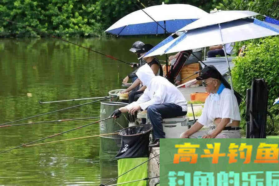 高温天气钓鱼这样搭配饵料和小药