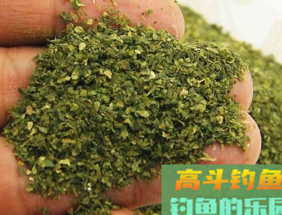 为什么腥味饵料冬季万人迷，夏季万人恨？