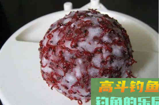 红虫和蚯蚓，钓鱼用哪个更好？
