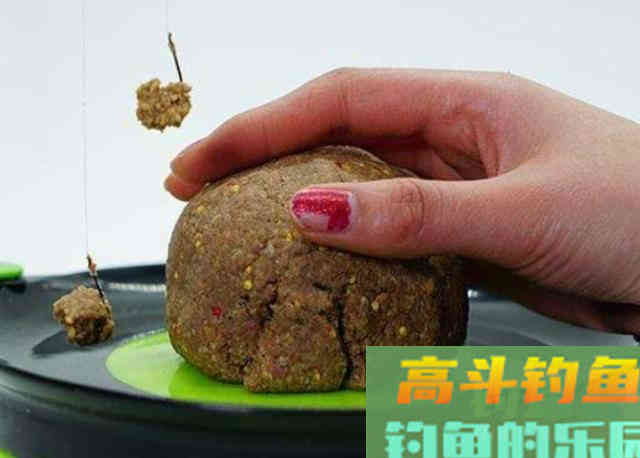 诱来鱼不吃钩，难道是钓饵不合鱼的口味？