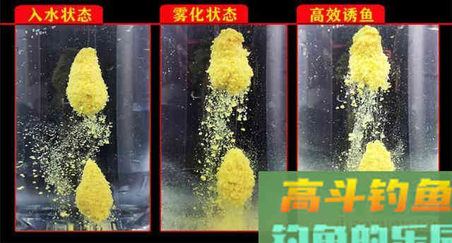 小黄面为什么风靡黑坑？它是一种怎样的钓饵