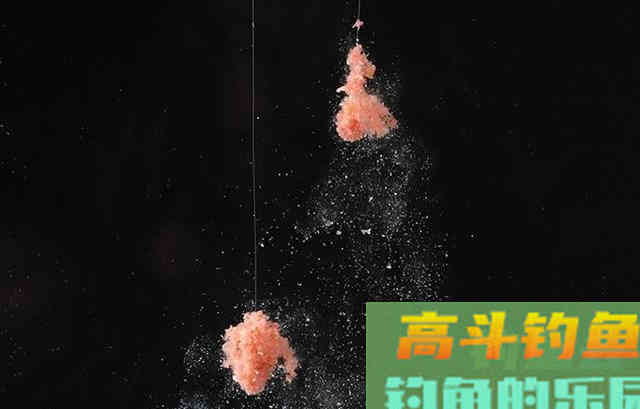 初春钓鱼做饵料时加点羊油，鲫鱼咬钩快