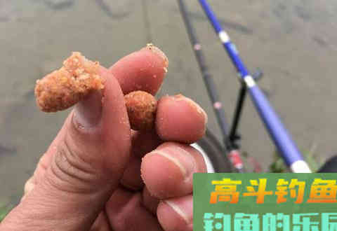 为什么浮漂不出顿口？今天来细说几点关于饵料的技巧