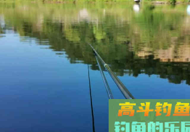 饵料加酒米，越加越没鱼？是你泡酒米的方法不对