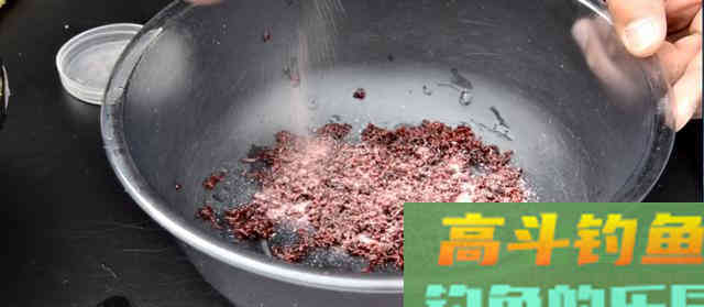 自制红虫拉饵伴侣，谨记这4个指标，效果提升50%