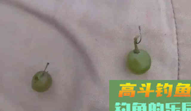 垂钓领域中的本源钓饵，作钓各个鱼种里的权威存在