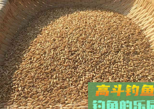 针对鲤鱼草鱼打窝的饵料配方