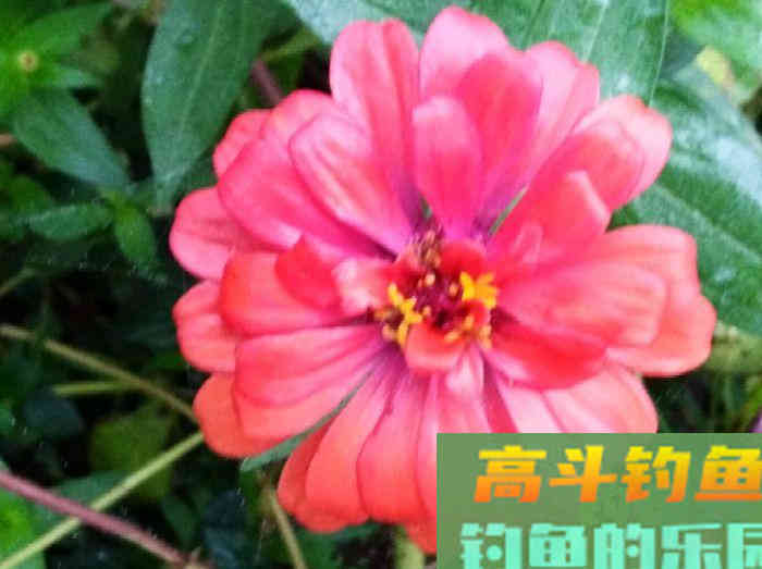 我对状态饵浅识和实操