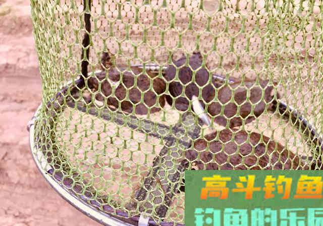 防止杂鱼闹的饵料，只要一块钱，能钓各种鱼