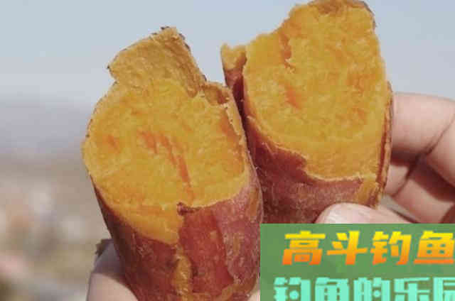 秋天钓鲫鲤的速效饵，助我鱼获丰收