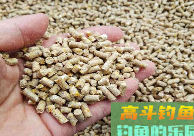 这款鱼饵我用了15年，今天无偿送给钓友们