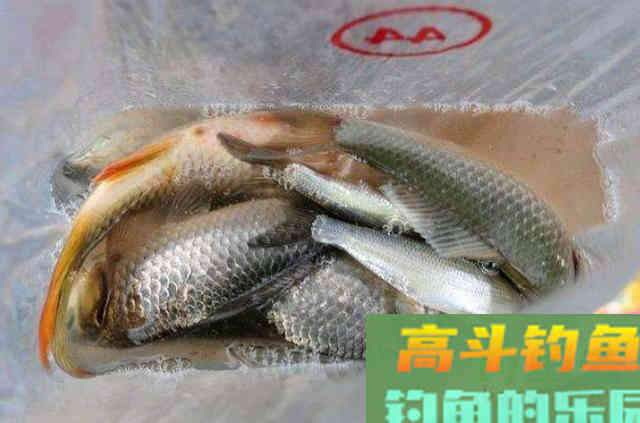 拉饵好用，但遇到这3种情况，虫饵比它强很多