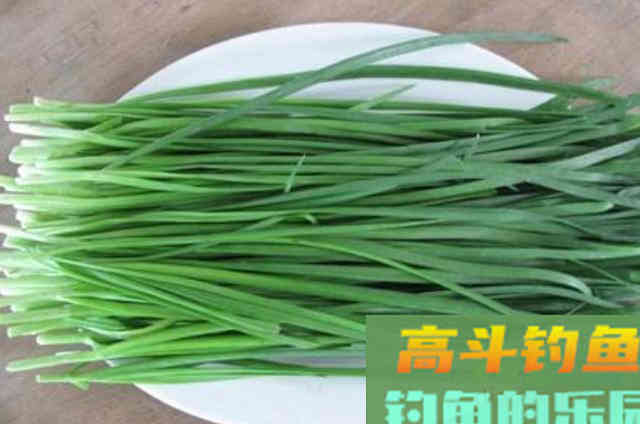深秋时期钓草鱼，可以用的一款自制饵料效果好