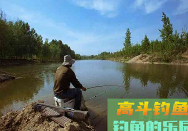 发窝之后，鱼儿半天不给口，问题一准出在这些地方