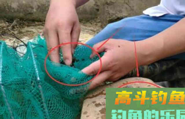 多余饵料的3大妙用，不是老司机还真想不到