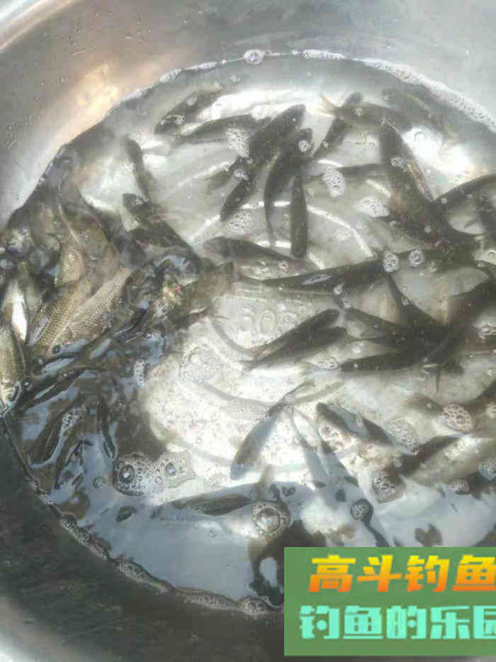 在钓鱼打窝后，怎么判断鱼是否有进窝，通过3个方法即可