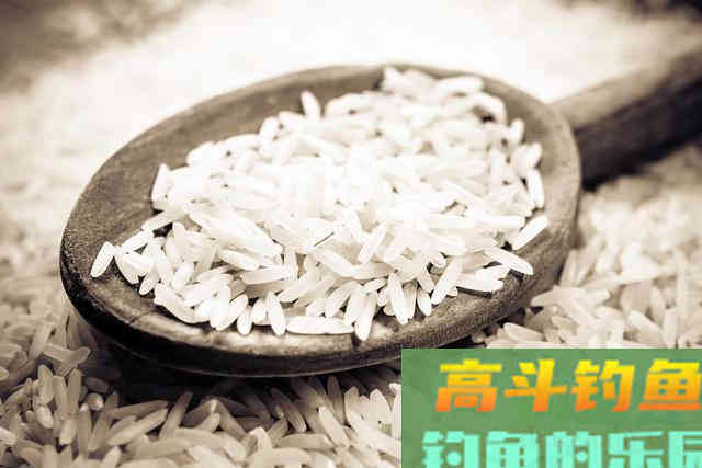 酒米打窝虽好用，但还要了解特点，酒米泡制的经验方法
