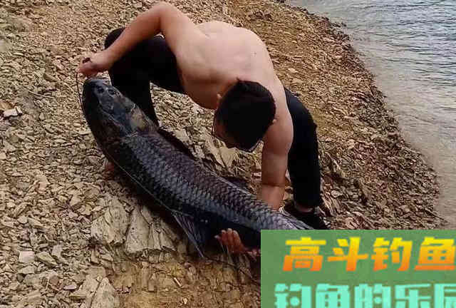 垂钓领域中的本源钓饵，作钓各个鱼种里的权威存在