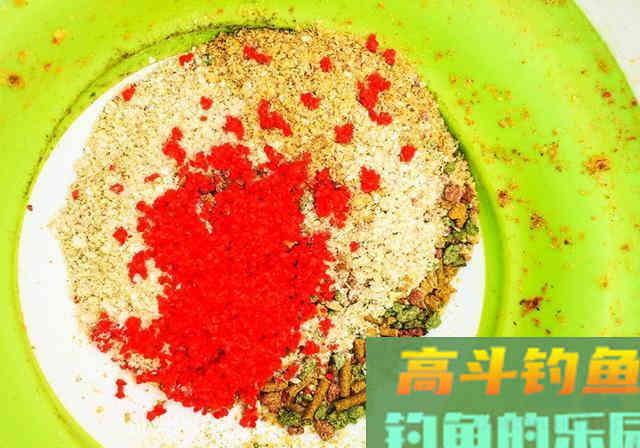 水边捡到一包臭豆腐饵料当中掺了点，半天钓得28斤鱼