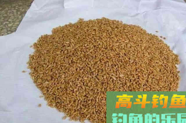 野钓鲫鱼时，可以供钓友们选择的一些特效饵料