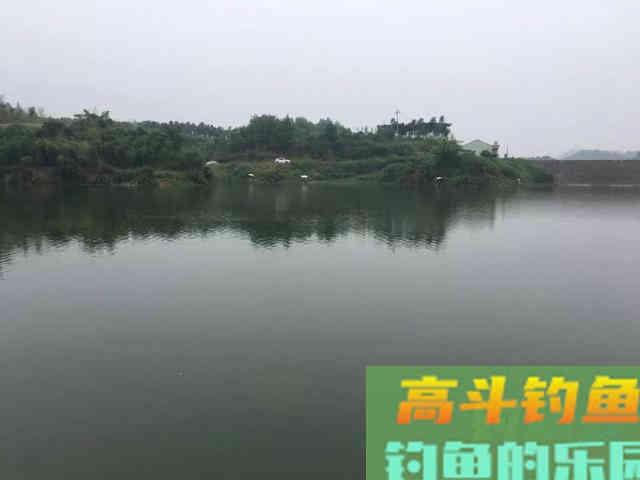 都说钓鱼要用粮食换，该如何打窝，从四个方面考虑