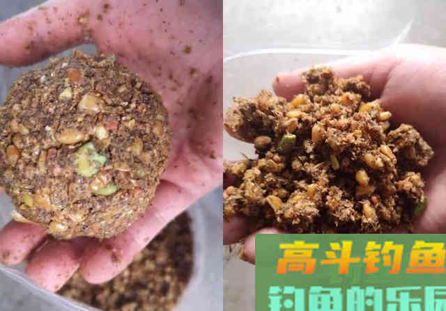 解析钓鱼做窝，窝料的气味、颜色、状态与钓鱼的关系