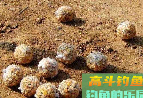 4种错误的打窝方式，浪费窝料还钓不到鱼