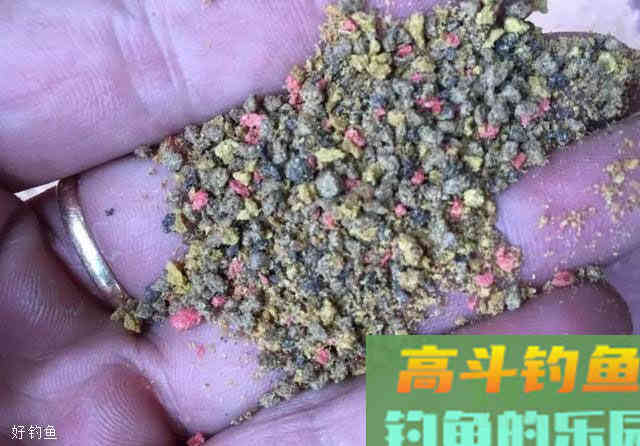 适合新手的开饵5步法，教你开出好饵料
