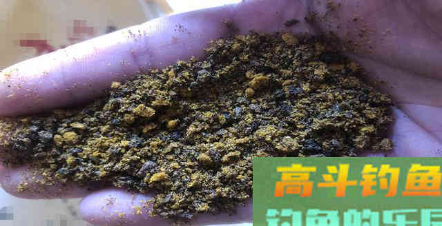 要想渔获多，掌握5个开饵原则，3个注意事项