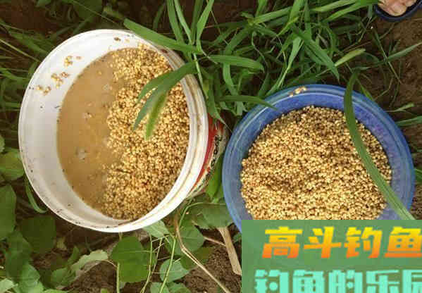 打重窝几天适合开钓？打重窝一般建议提前三天打窝