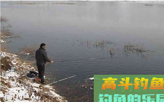 打窝不聚鱼，其实多半还是窝料味型的锅