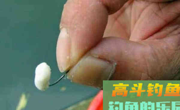 秋钓大板鲫，钓鱼老大爷最喜欢用这些饵料