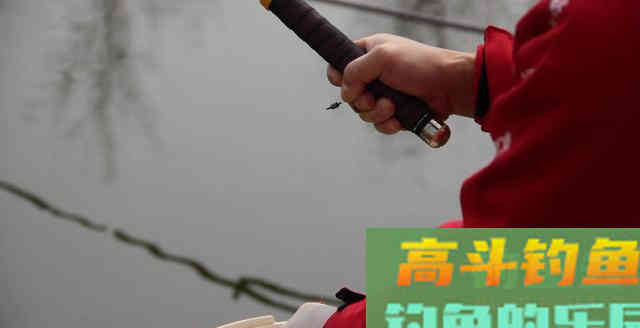 到底有哪些原因造成鱼无法吃饵？看你我总结的一样否