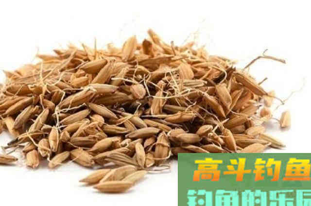 这饵用来对付草鱼鲤鱼，那叫一个狠