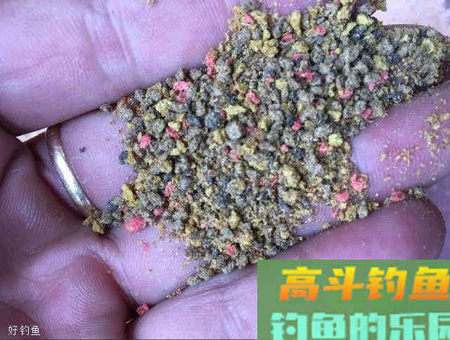 为什么浮漂不出顿口？今天来细说几点关于饵料的技巧
