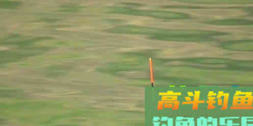 冬季钓鱼，窝子打多还是少？老钓友这样打