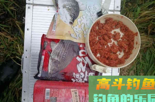 秋钓大板鲫时，需要钓友们谨记在心的三个用饵技能
