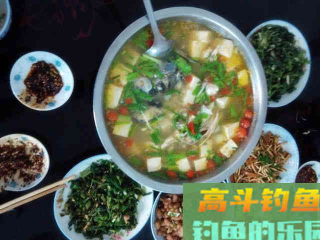 用自制饵料钓鲢鳙，这鱼一来一群，钓不散