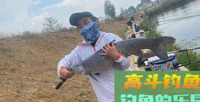 作为钓鱼人你必须知道四季鱼情小药搭配