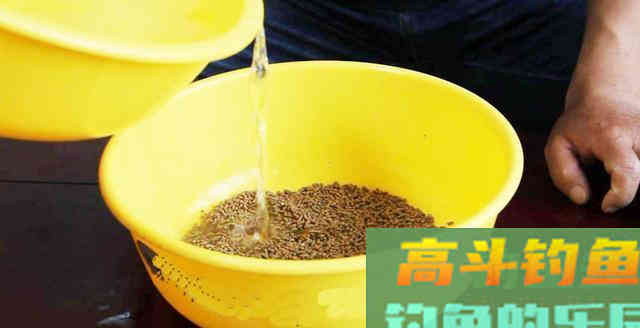 这4个用饵误区很常见，大部分人钓鱼人都犯过