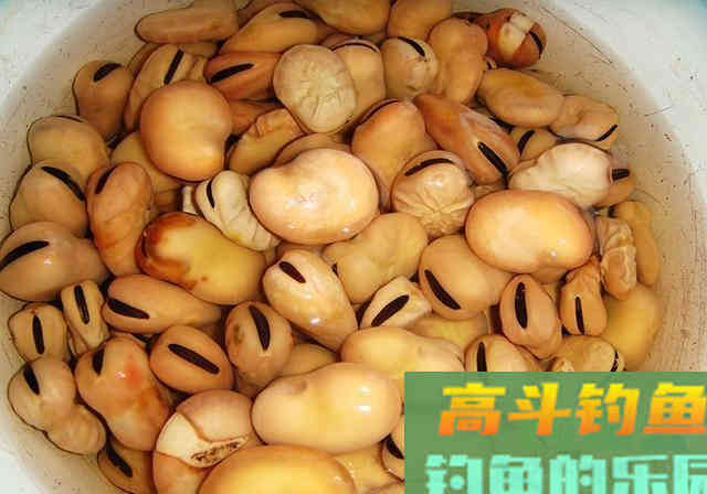 老钓友分享珍藏窝料配方，专攻大鲤大草鱼