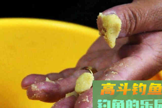 如何用红薯制作钓鱼饵料？特别适合秋天野钓鲤鱼