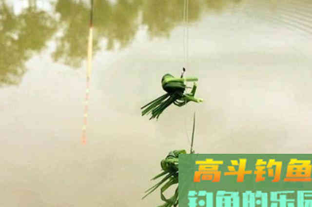 天越热，草鱼就越难钓？那是你没这百试不爽的特效饵