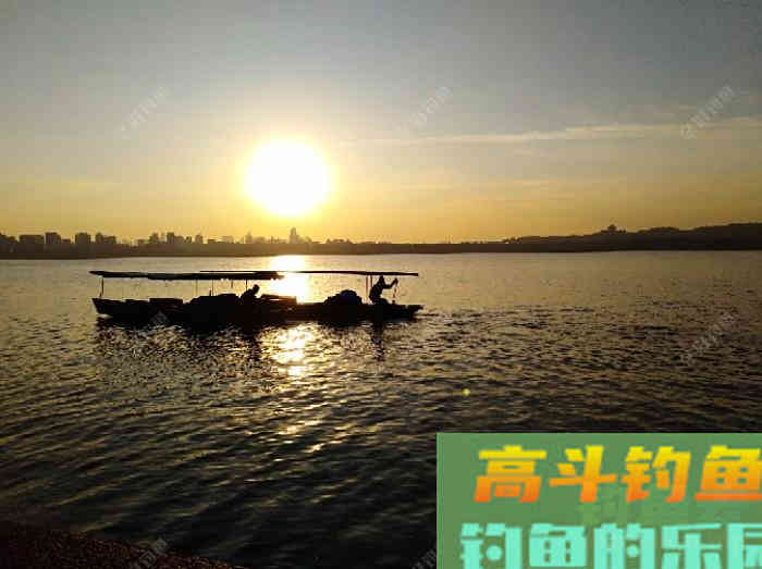 自制钓鲫鱼酒小米的几个误区，可帮助你钓获大鲫鱼