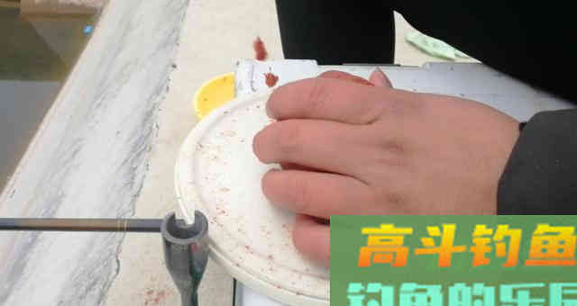 饵料出丝太多，教你四种应对办法，轻松解决